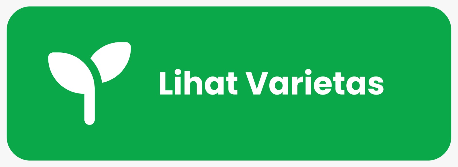 Lihat Varietas Tanaman Palma